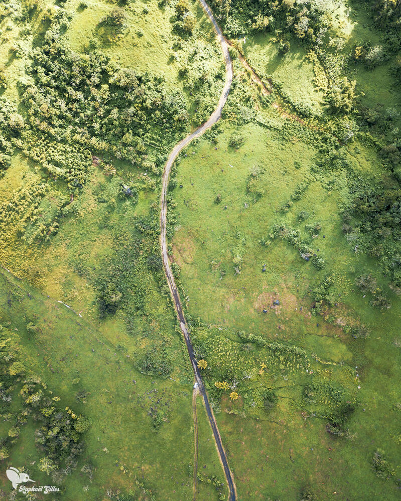 Photo prise au drone. Un chemin traverse la campagne guadeloupéenne.