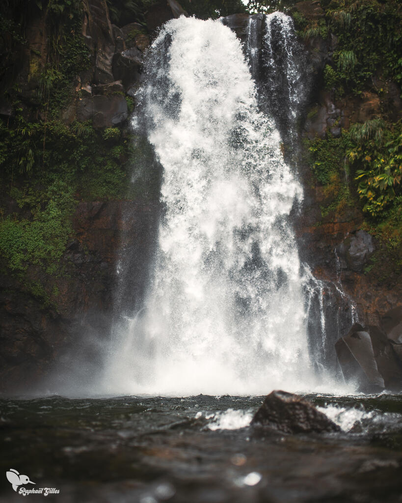 Une cascade de 20 mètres de haut dans une forêt.