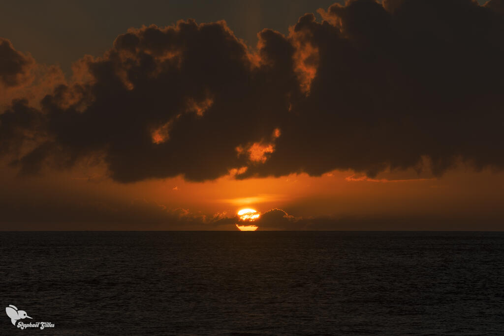 Un coucher de soleil sur la mer. Le soleil touche l’horizon.