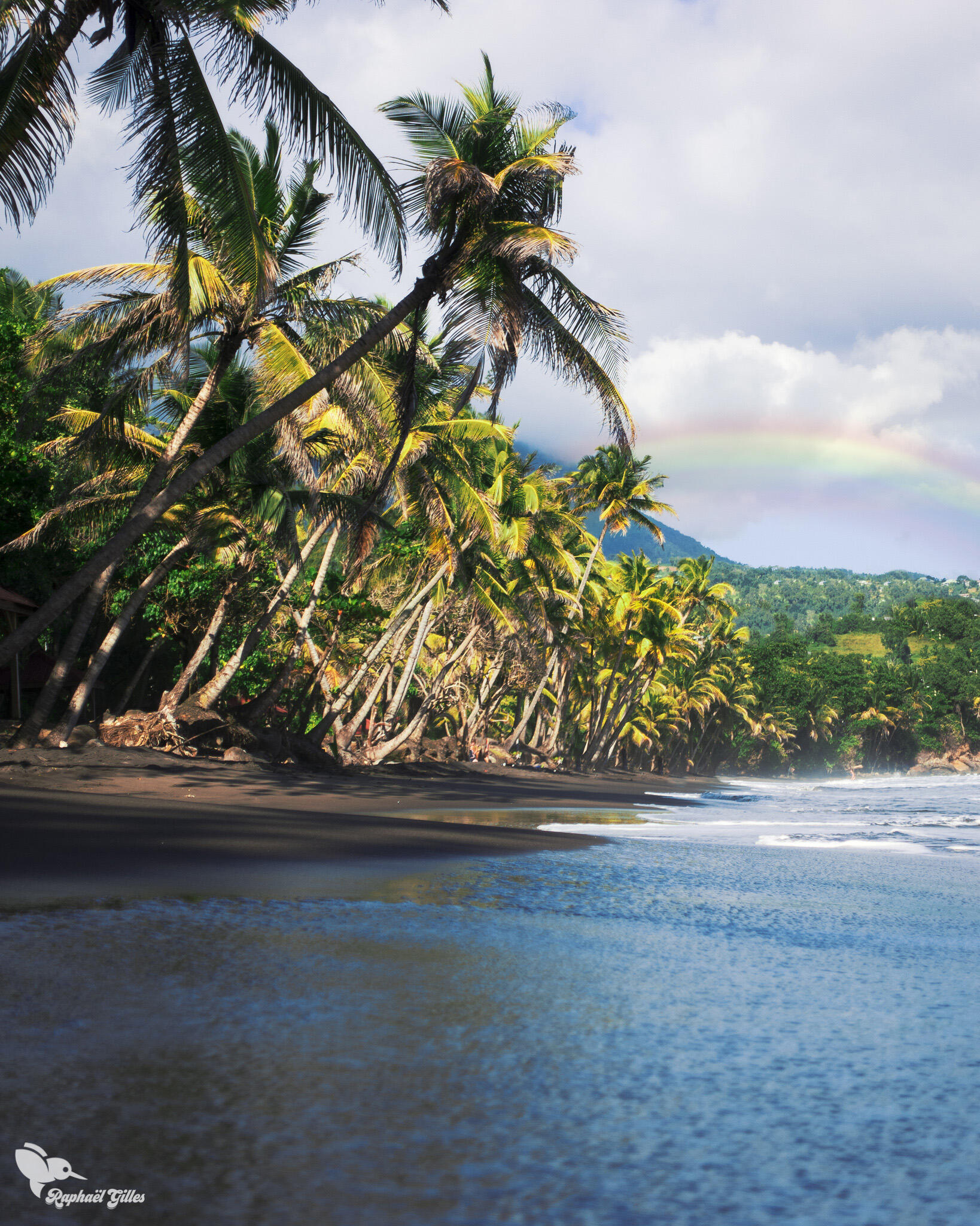 Une plage de sable noir bordée de cocotiers. Un arc-en-ciel en fond.