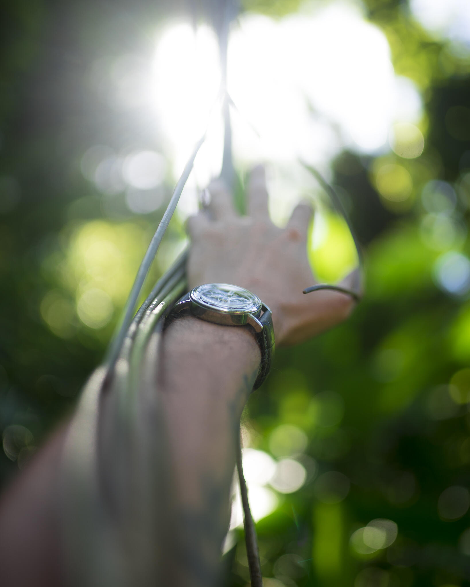 Vue à la première personne. Un bras entouré d’une liane, une montre au poignet.