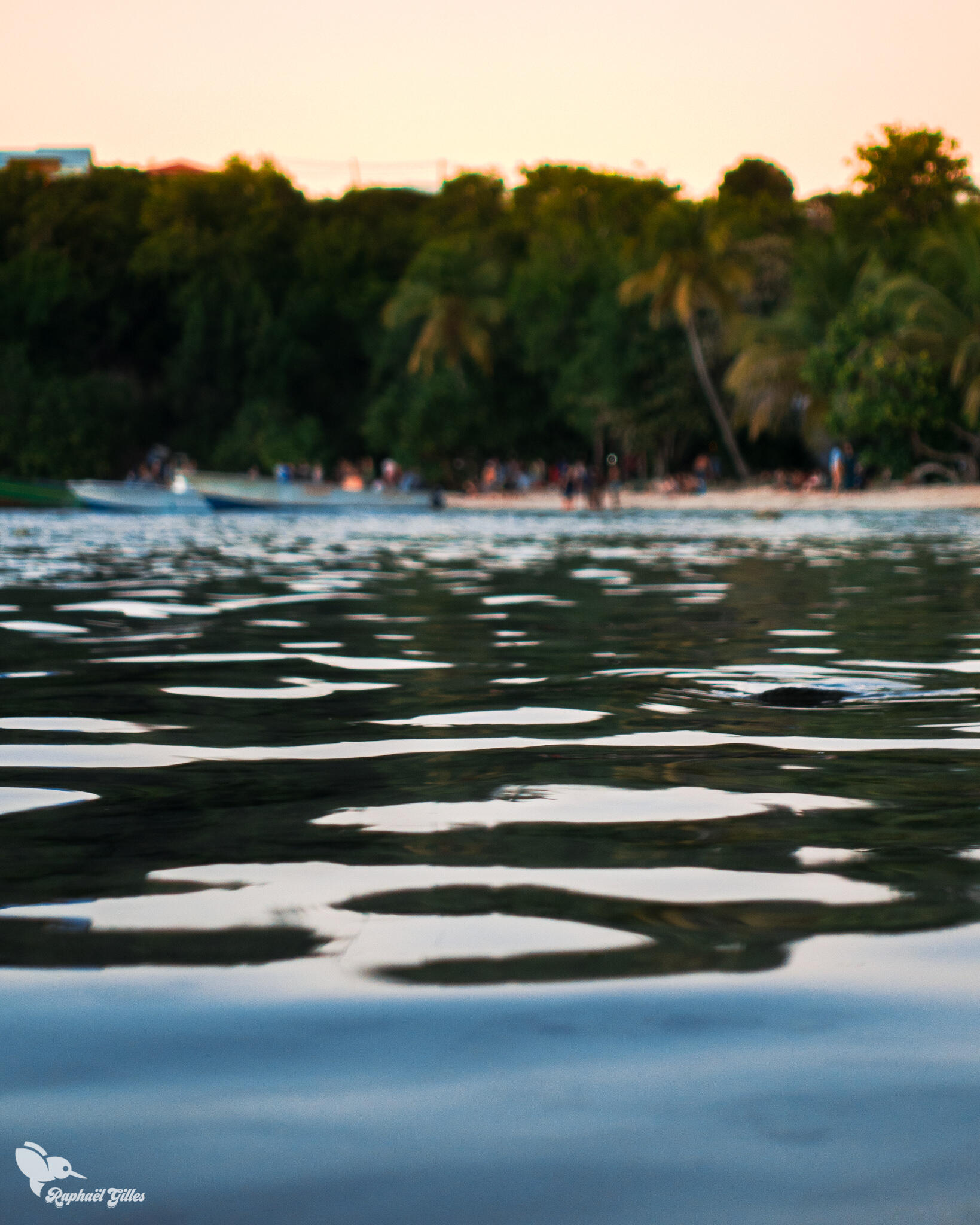 Photo prise à grande ouverture.
Le premier plan, la mer calme, est net.
L'arrière plan, une plage antillaise, est flou.