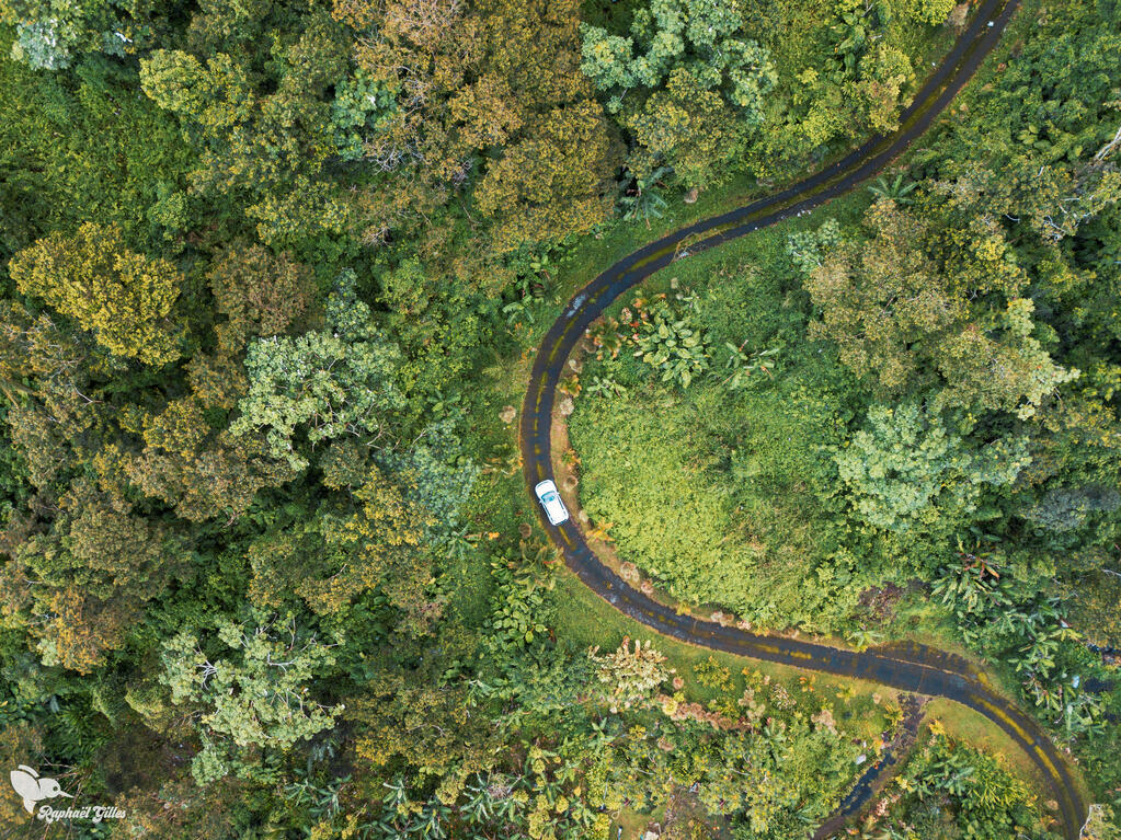 Photo prise au drone en plongée.
Une toute petite route forme un virage régulier au milieu d'une végétation dense. Un véhicule blanc circule dessus.