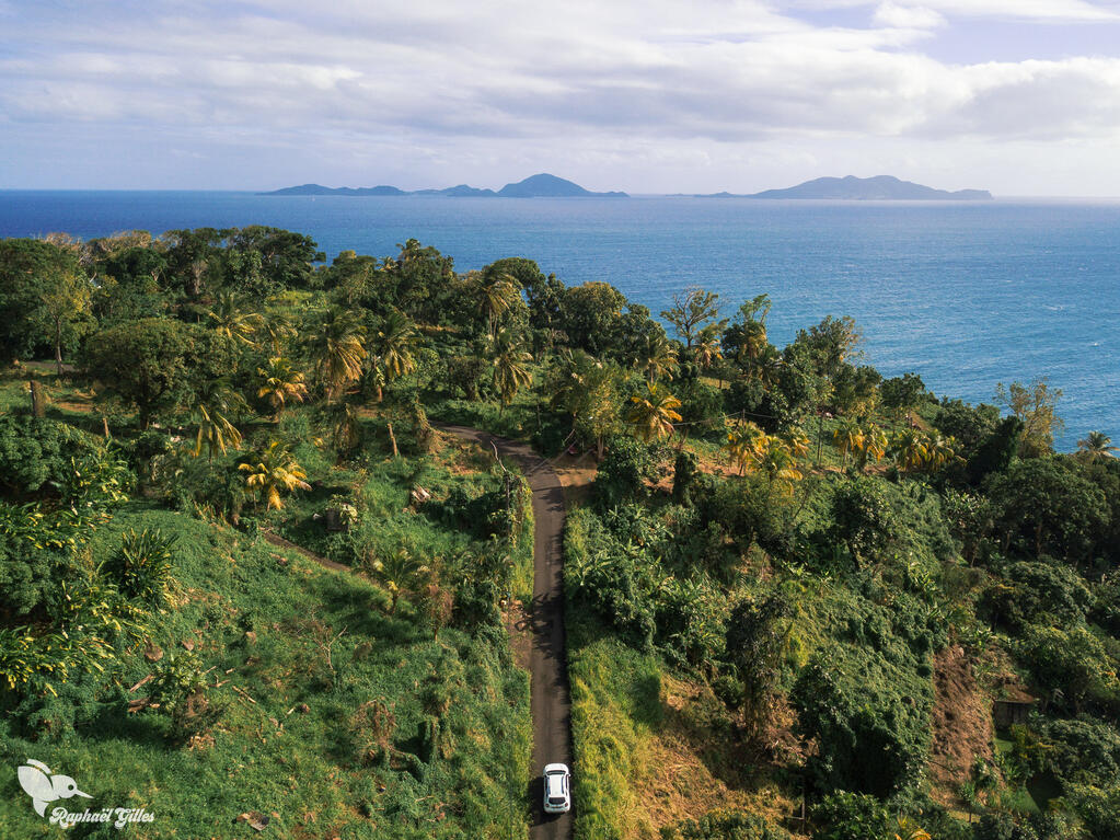 Photo prise au drone.
Une voiture roule sur une route au milieu de la forêt guadeloupéenne, face à la mer. On distingue deux îles à l'horizon.