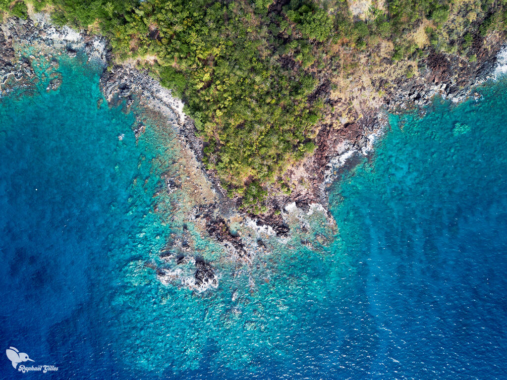 Photo prise au drone.
Plongée sur la côte de la mer des Caraïbes.