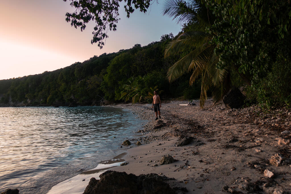 Un homme seul sur une plage sauvage contemple un coucher de soleil.