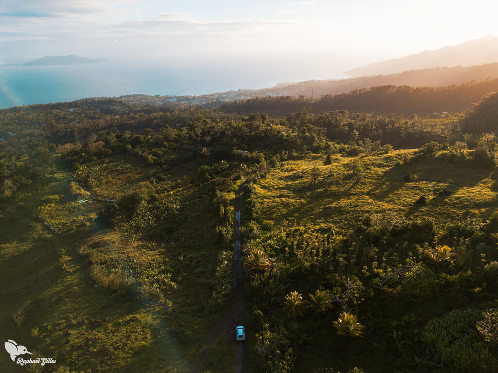 Photo prise au drone.
Une voiture sur un petit chemin, au milieu de la végétation luxuriante de la Guadeloupe.