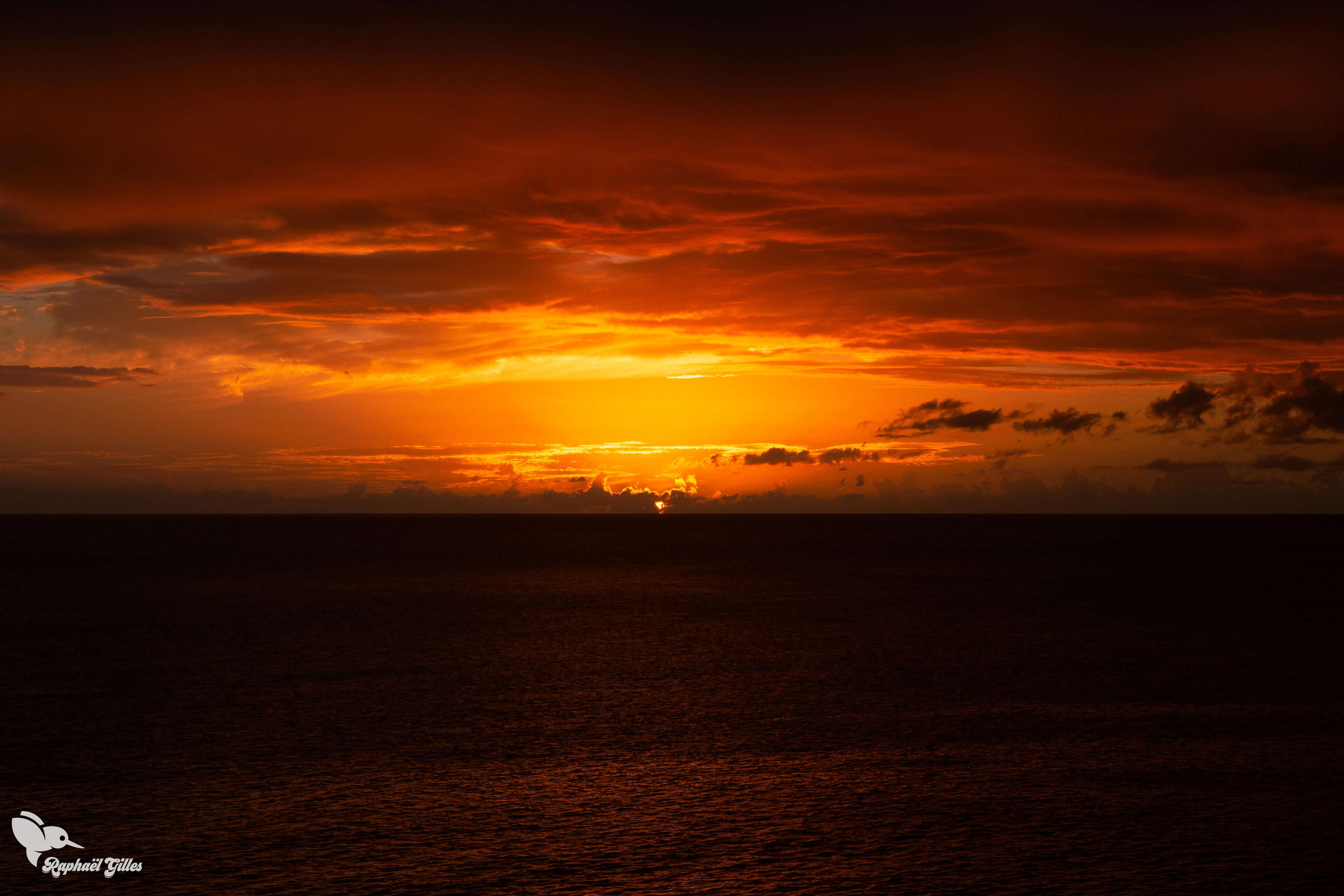 Un coucher de soleil aux couleurs oranges, la mer en premier plan.