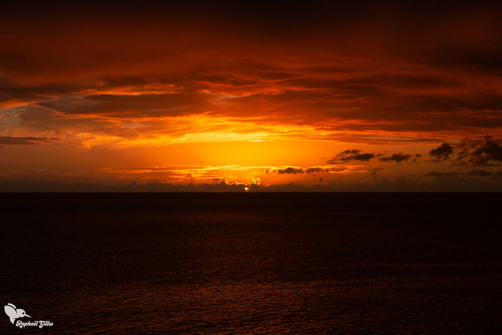 Un coucher de soleil aux couleurs oranges, la mer en premier plan.