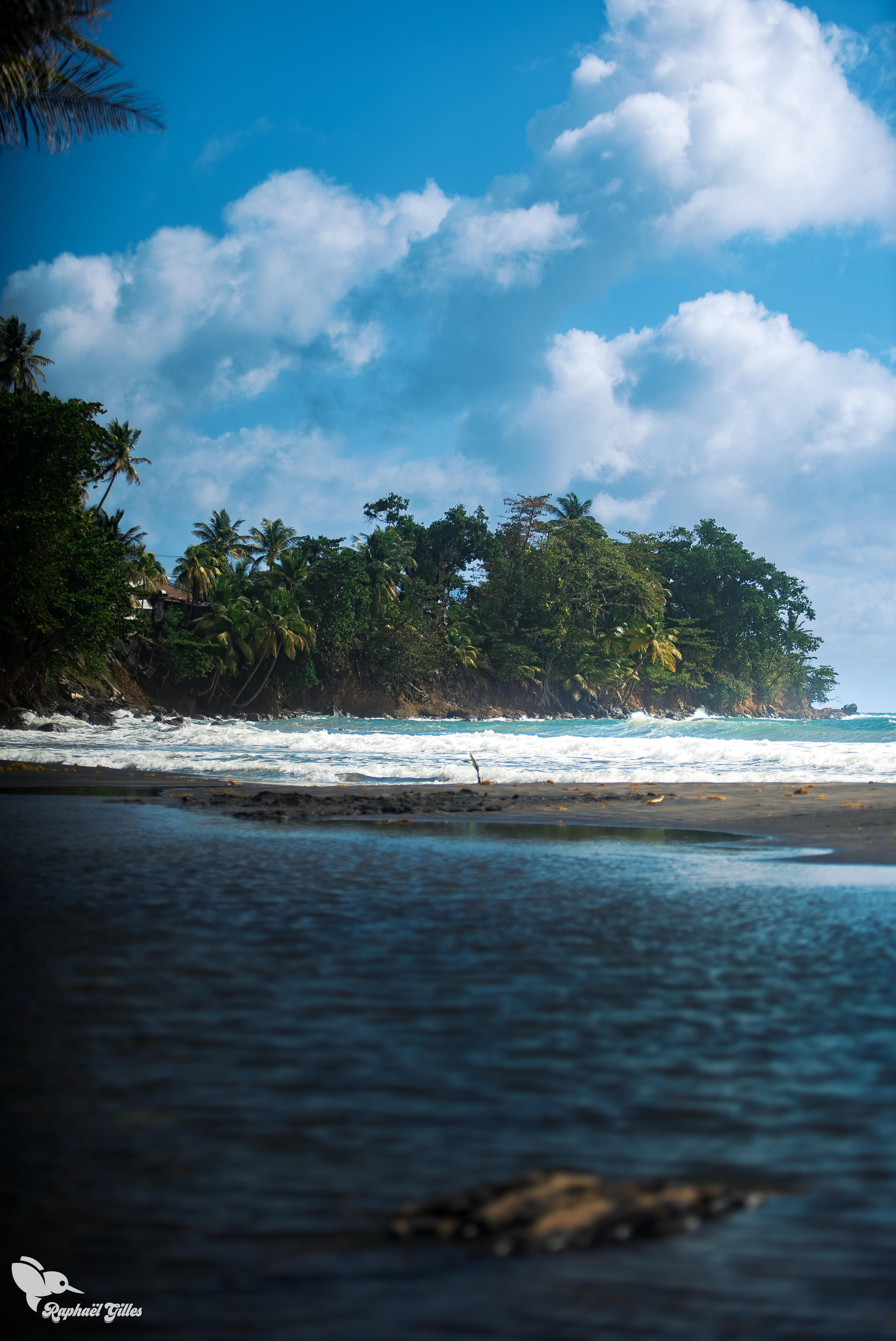 Une plage de sable noir bordée de cocotiers.