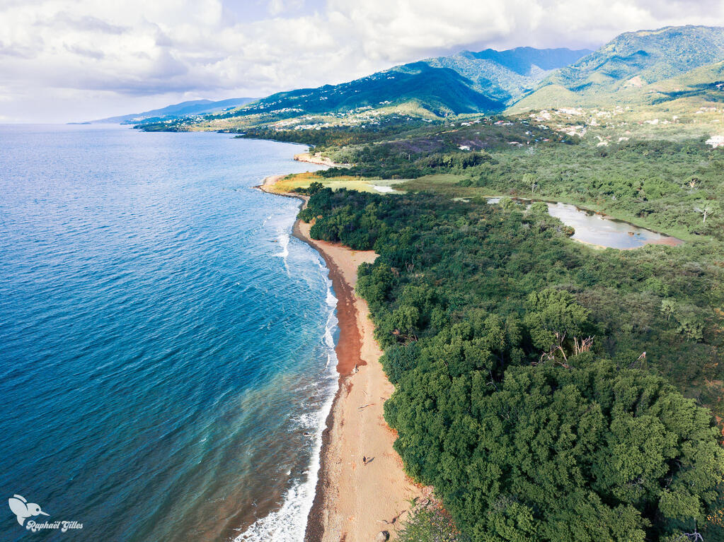 Photo prise au drone.
Un paysage antillais. Une plage de sable sépare la mer et la forêt. On peut apercevoir un homme sur la plage, un étang dans la forêt et des montagnes à l'horizon.