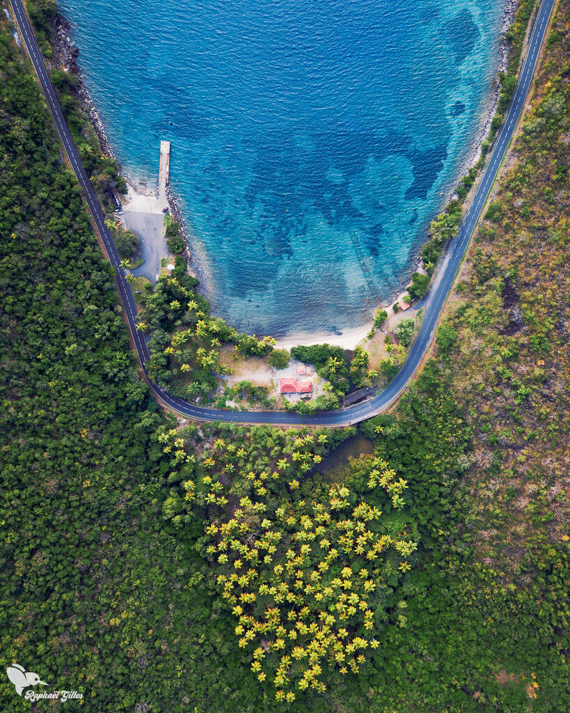 Photo prise au drone en plongée.
Une route sépare la nature dense de la Guadeloupe et la mer des Caraïbes.