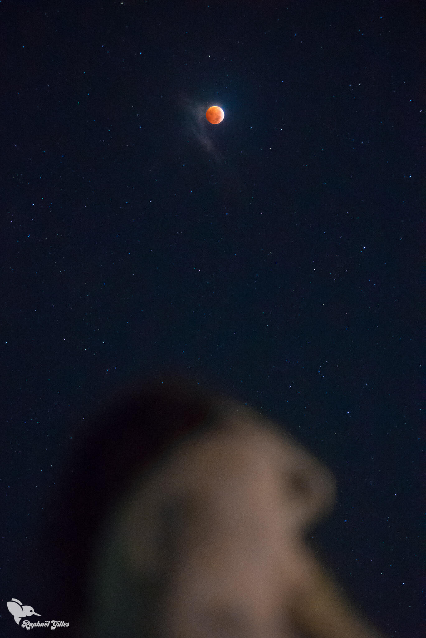 Une personne regarde le ciel dans lequel une éclipse de lune est en cours.