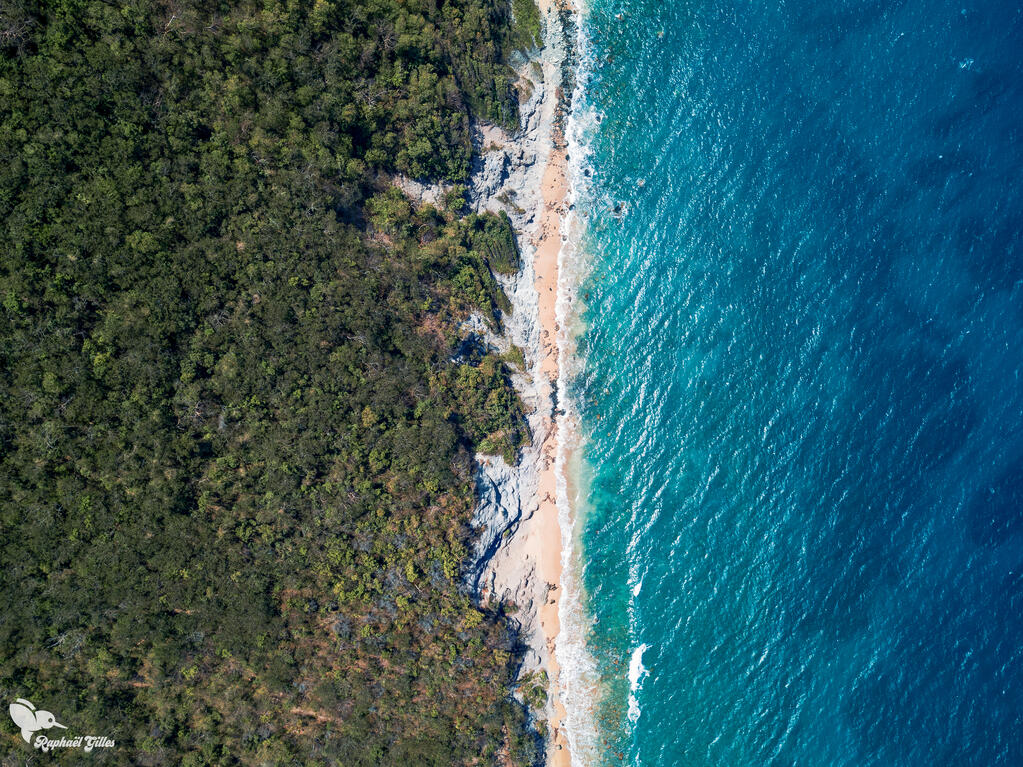 Photo prise au drone.
Plongée à haute altitude. Une plage de sable blanc sépare la végétation et la mer.