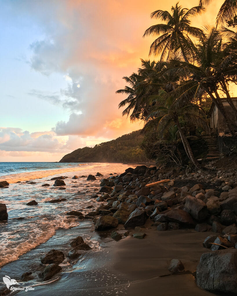 Un coucher de soleil sur une plage typique des antilles. Des cocotiers à perte de vue et des rochers dans le sable.