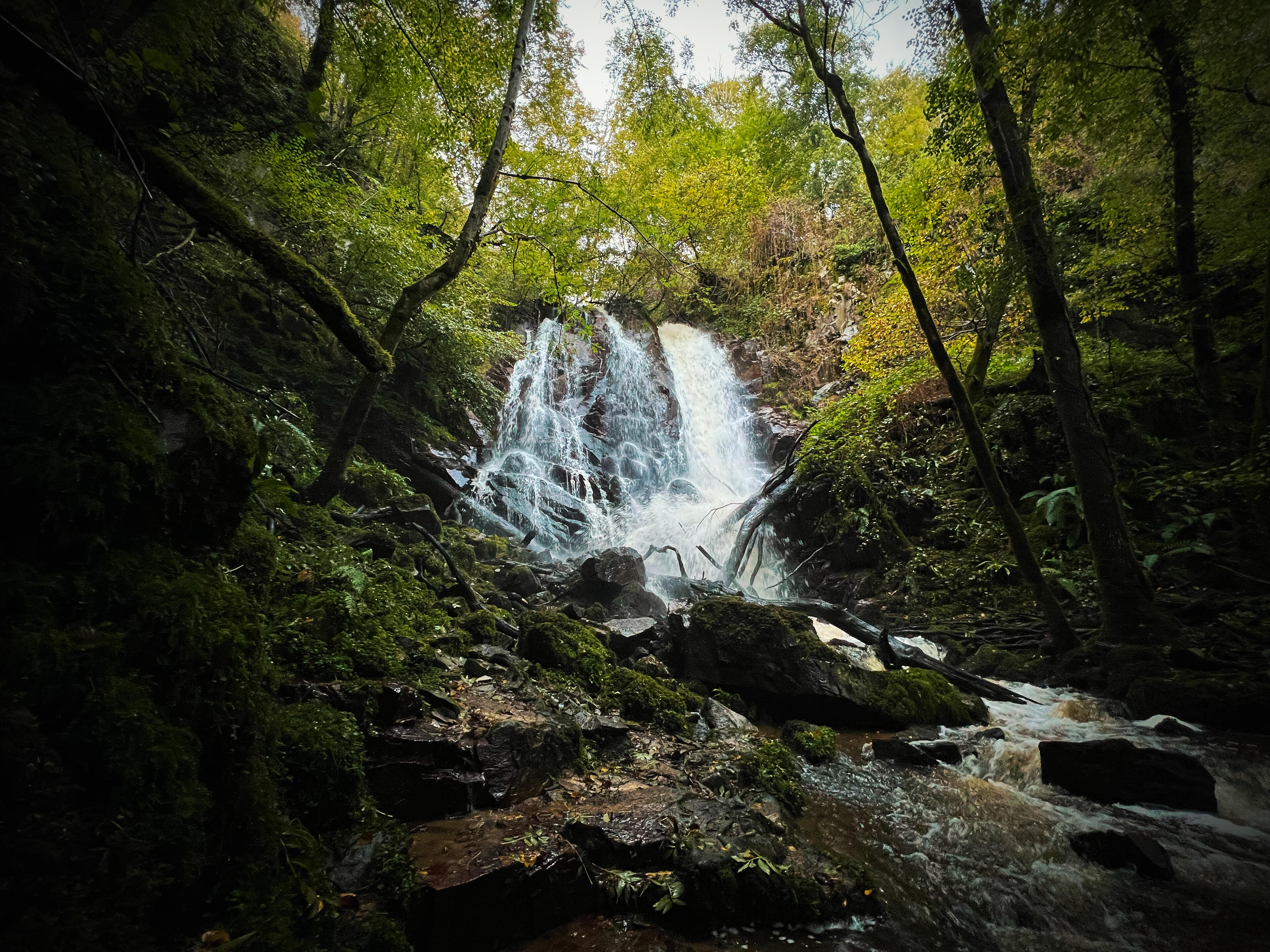 Une cascade au milieu de la forêt.